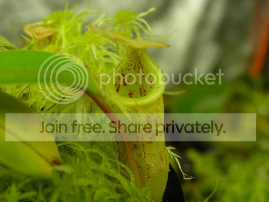 012_zpsf1b879f0.jpg