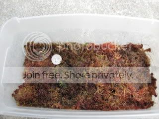 IMG_1684.jpg