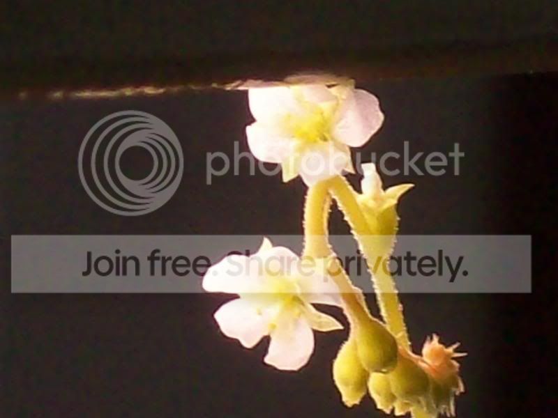 Picture038.jpg