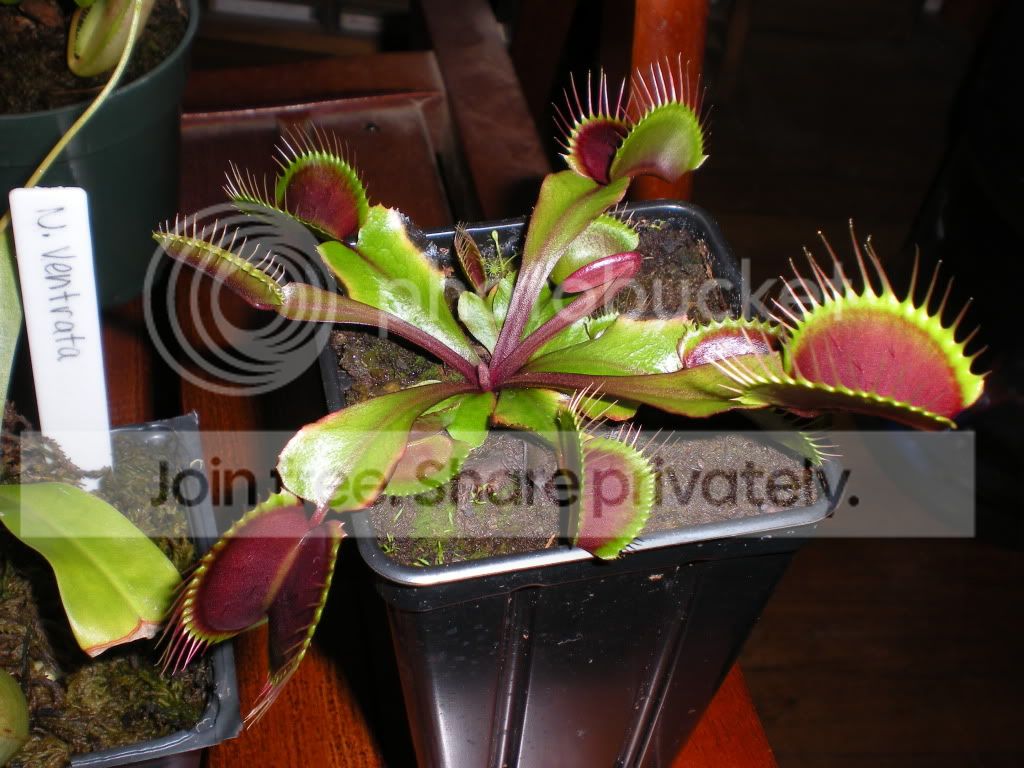 DSCN8162.jpg