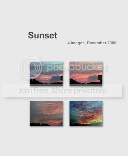collage26.jpg