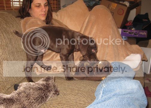 IMG_1046.jpg