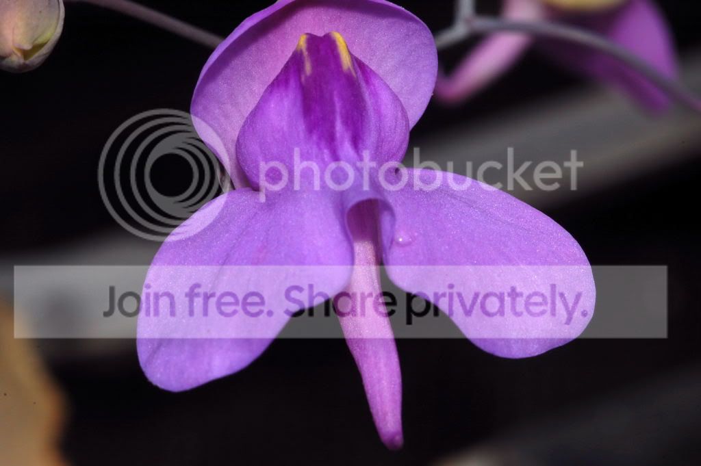 DSC_03050001.jpg