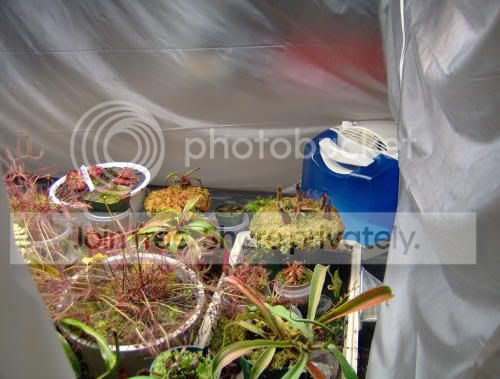 growchamber01.jpg