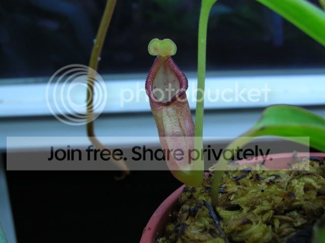 DSCN6832.jpg