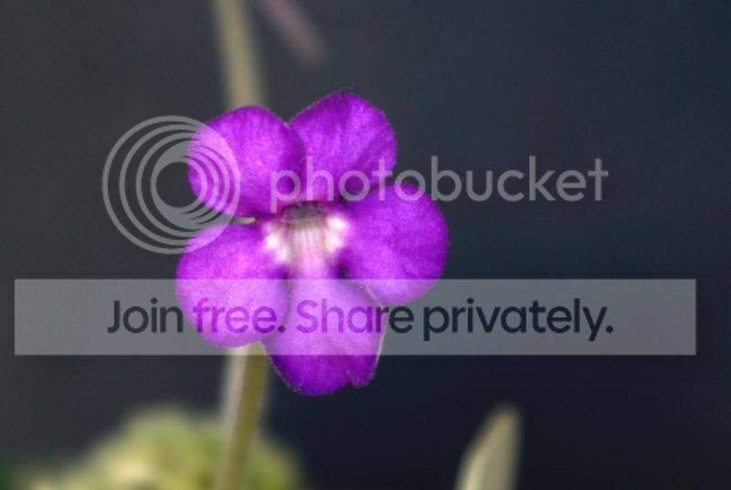 _IGP0448a.jpg