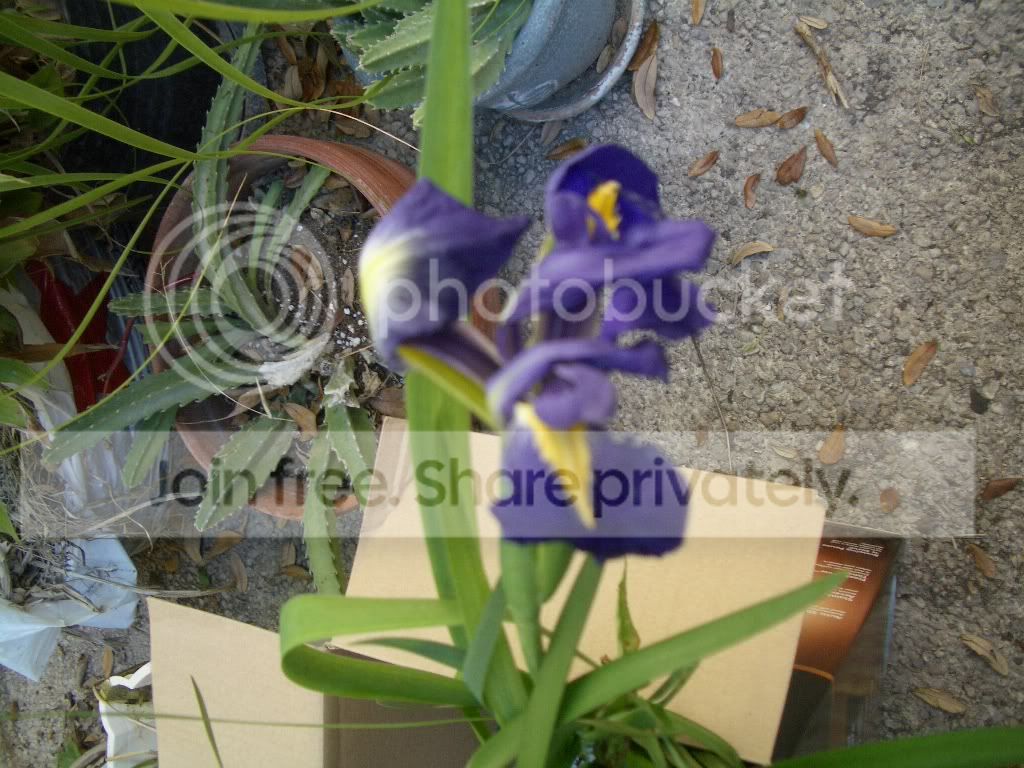 IMGP6189.jpg