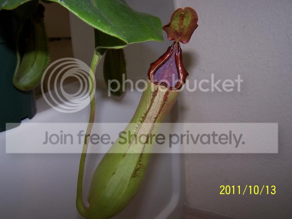 100_5391.jpg