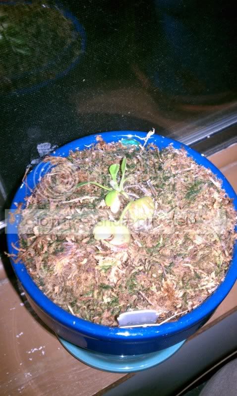 IMAG0069.jpg