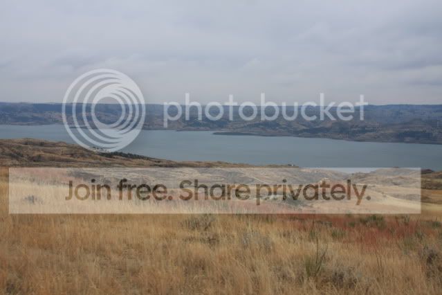 IMG_7974.jpg
