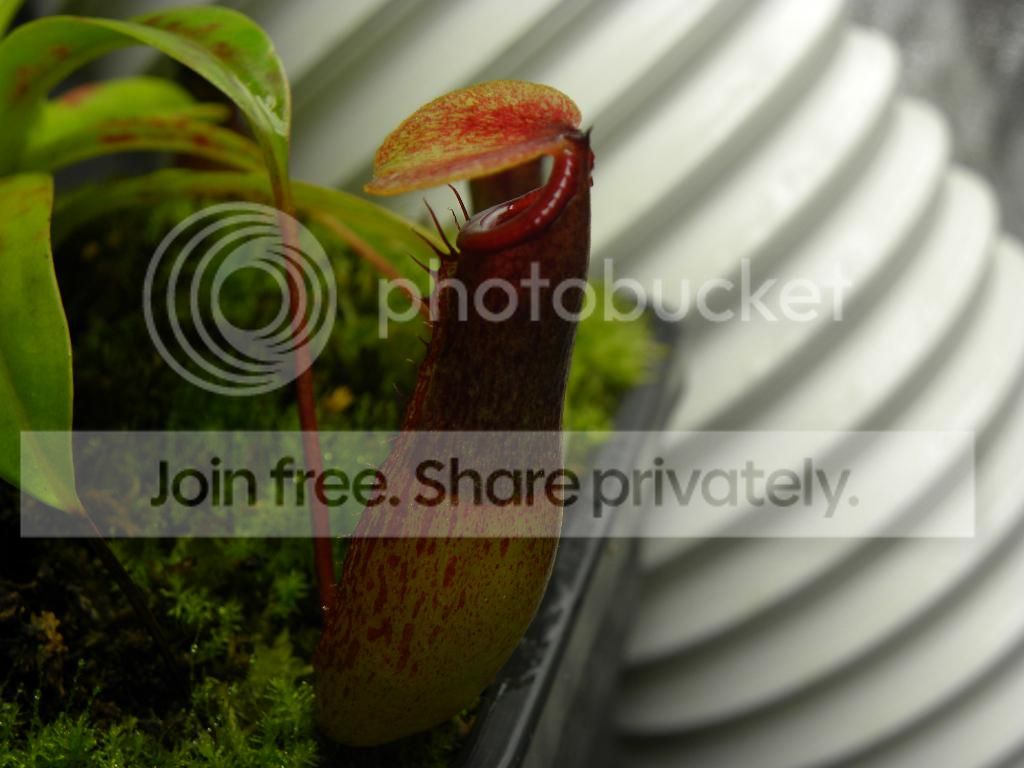 032.jpg