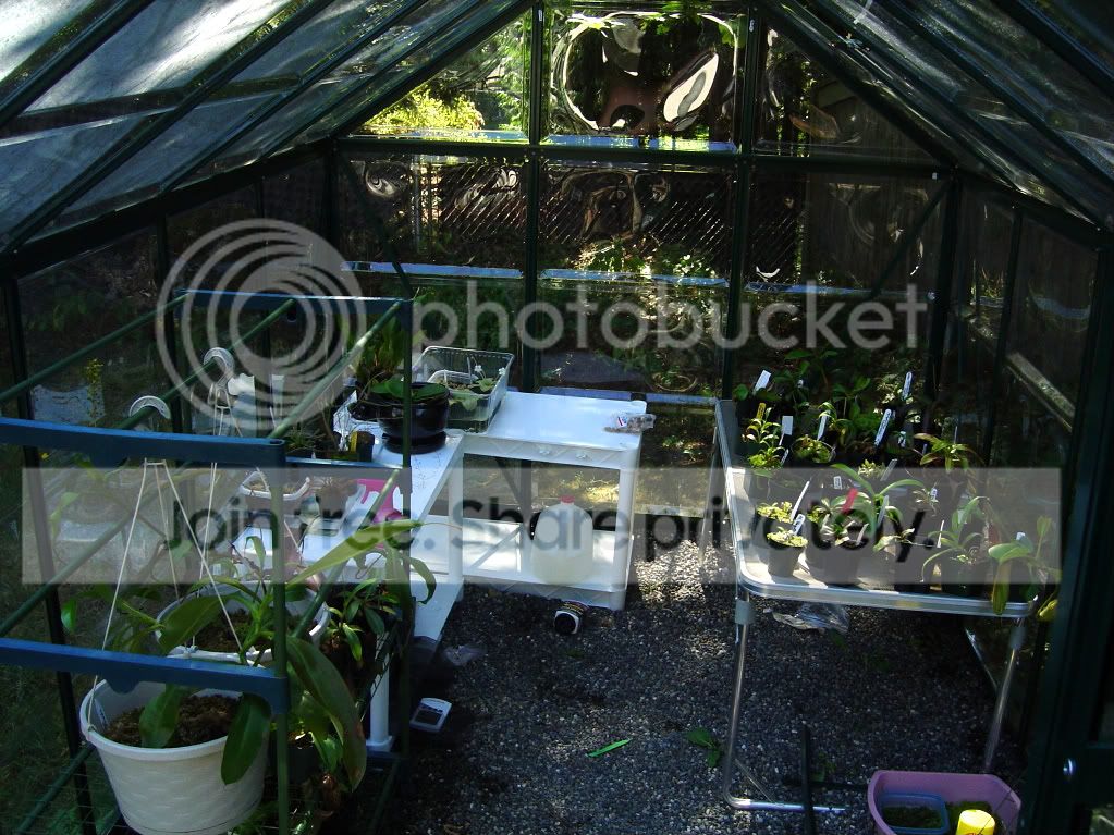CPs8-18-09032.jpg