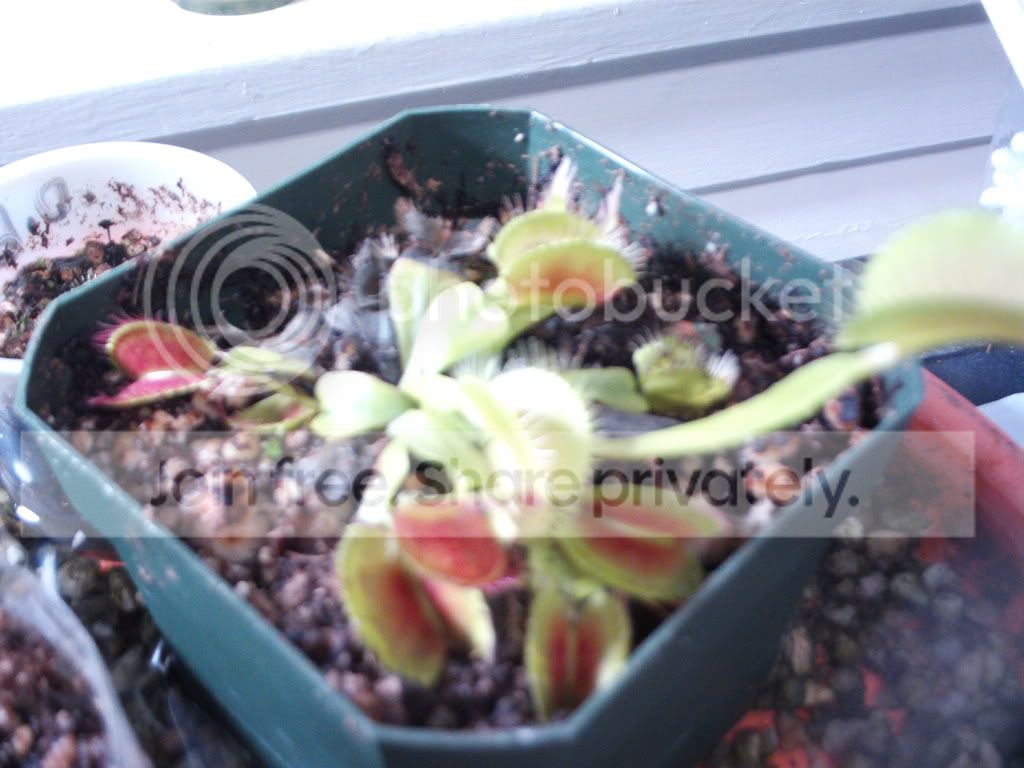 FILE1447.jpg