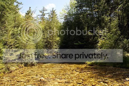 CP-Pine-Grove-stream.jpg