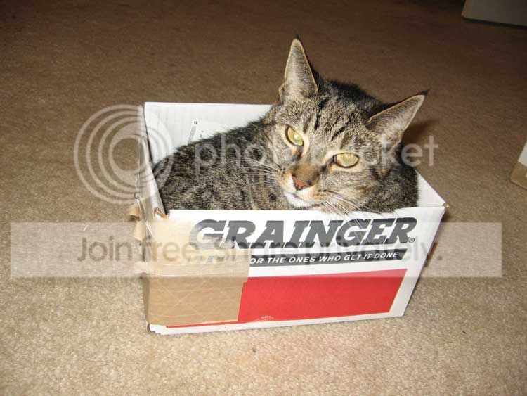 HG---Tig-in-a-box-004.jpg