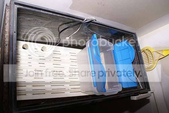 incubator-pics-005.jpg