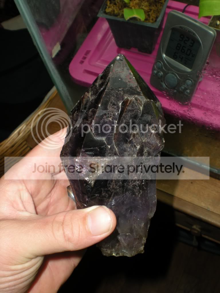 DSCN7451.jpg