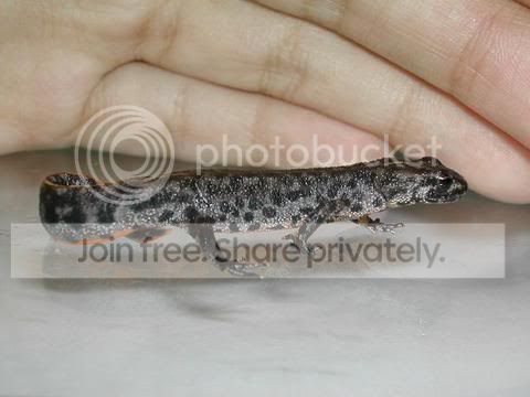 DSCN2076.jpg