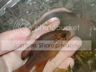 DSCN0352.jpg