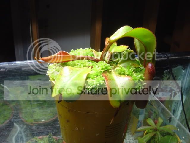 DSC02281.jpg