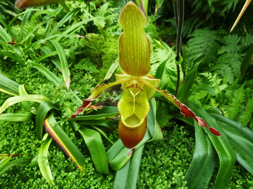 kewgardens300812069.jpg