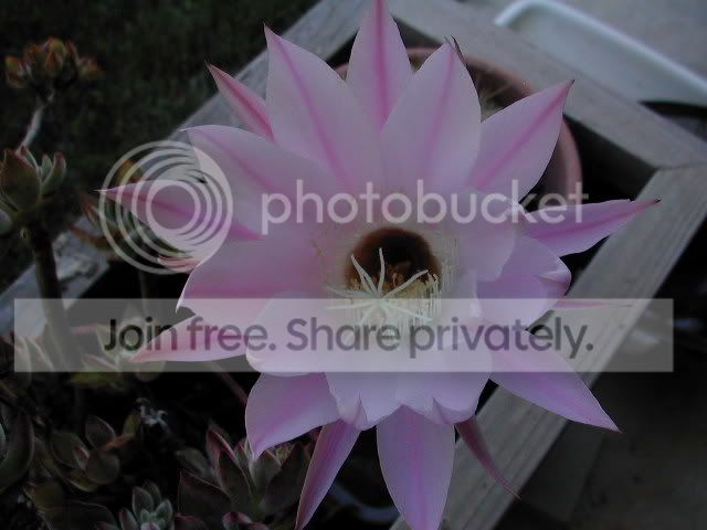 DSCN0475.jpg