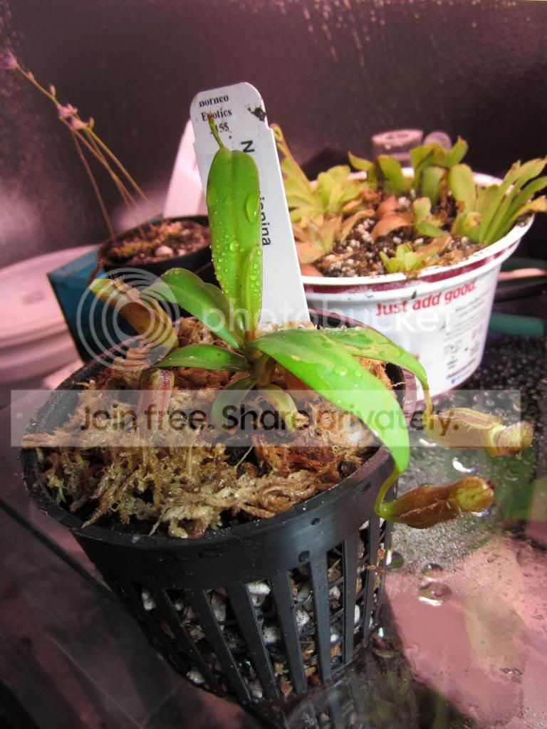 IMG_1394_zps2c599543.jpg