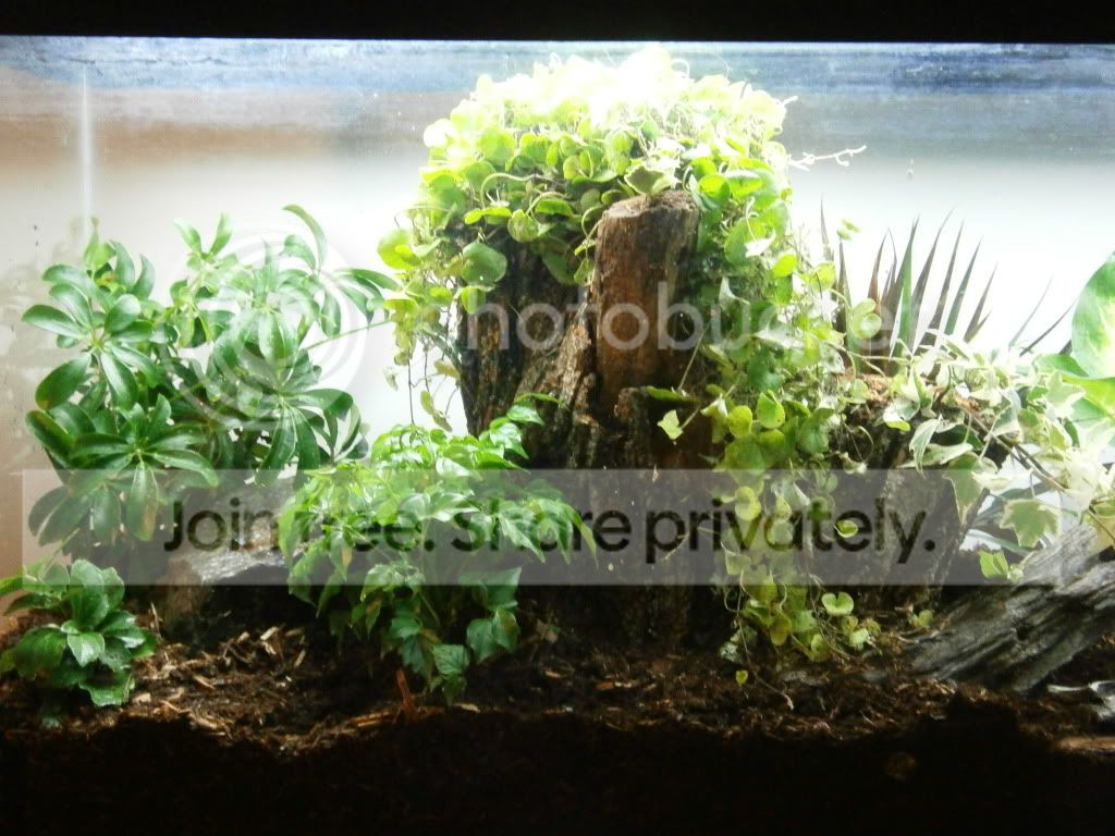 vivarium002.jpg