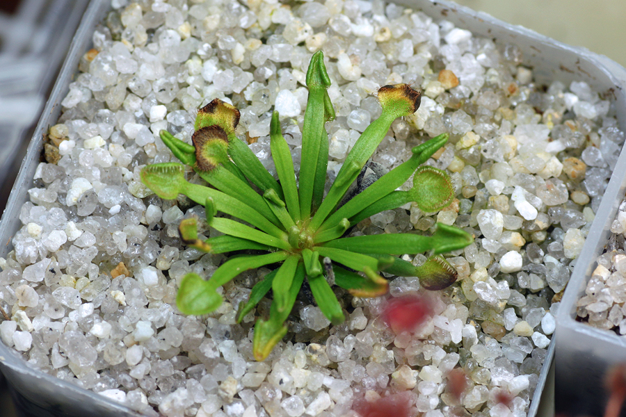 6461761461_a7d49be3f7_o.jpg