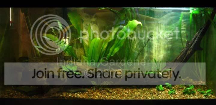 30-gal-tank.jpg