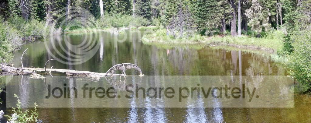 goldlake.jpg