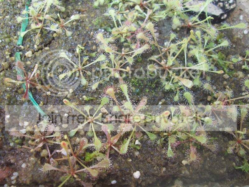 28defeb029.jpg