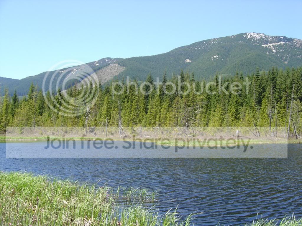 BogandRonsplace012.jpg