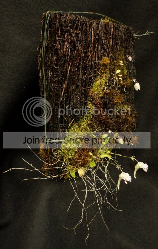 Ujames3-4062612RS.jpg