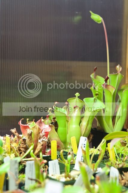 3_zps35921731.jpg