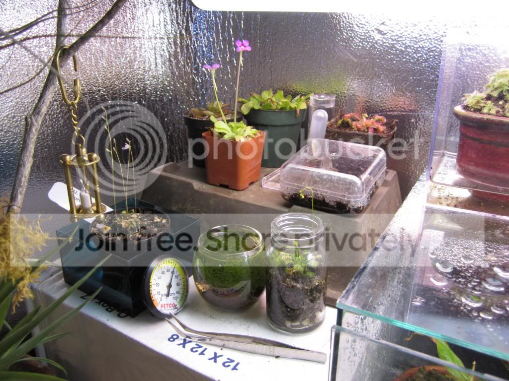 IMG_1465_zps6370eee2.jpg
