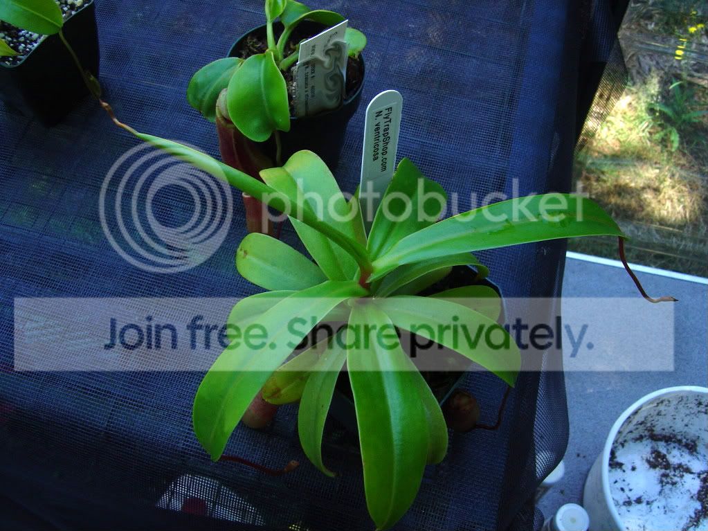 ReturnhomeCPs7-21-09010.jpg