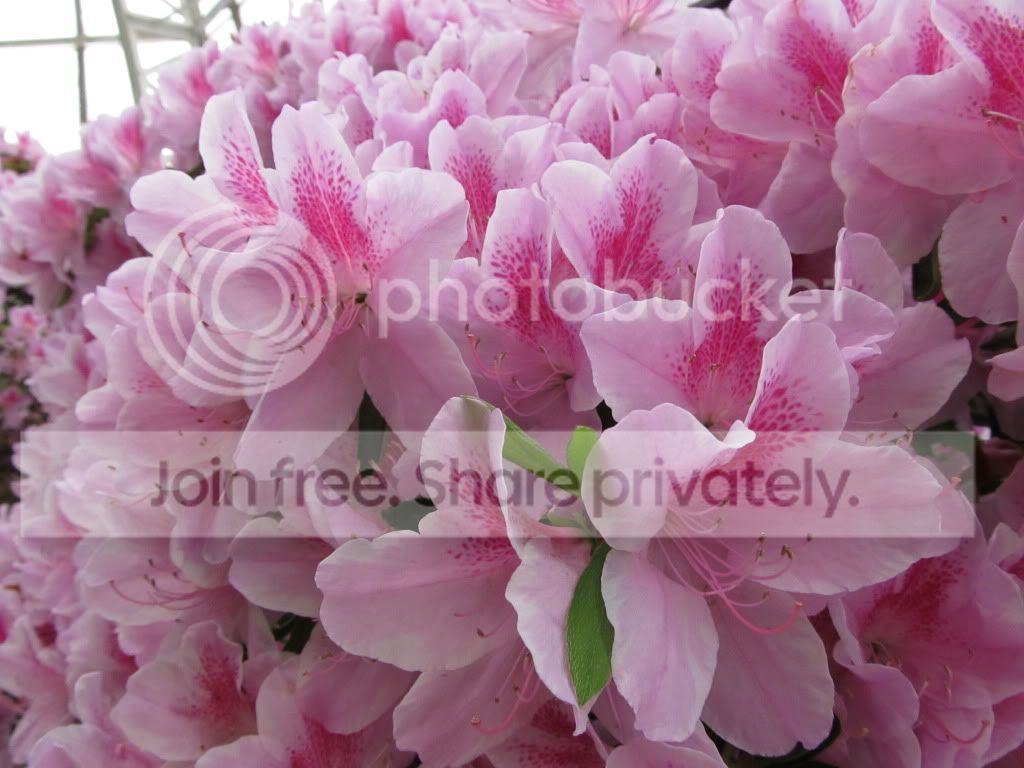 IMG_2643.jpg