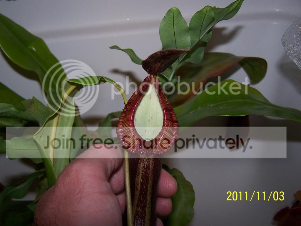 100_5512.jpg