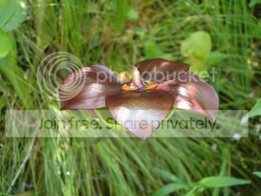 DSC07503_zps6dfdb3bc.jpg