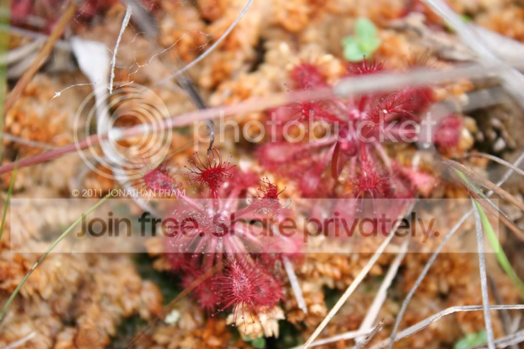 IMG_0724.jpg