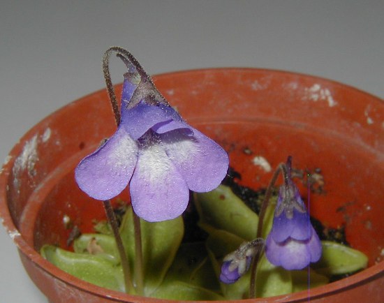 P10100041.JPG