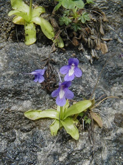 causse23.JPG