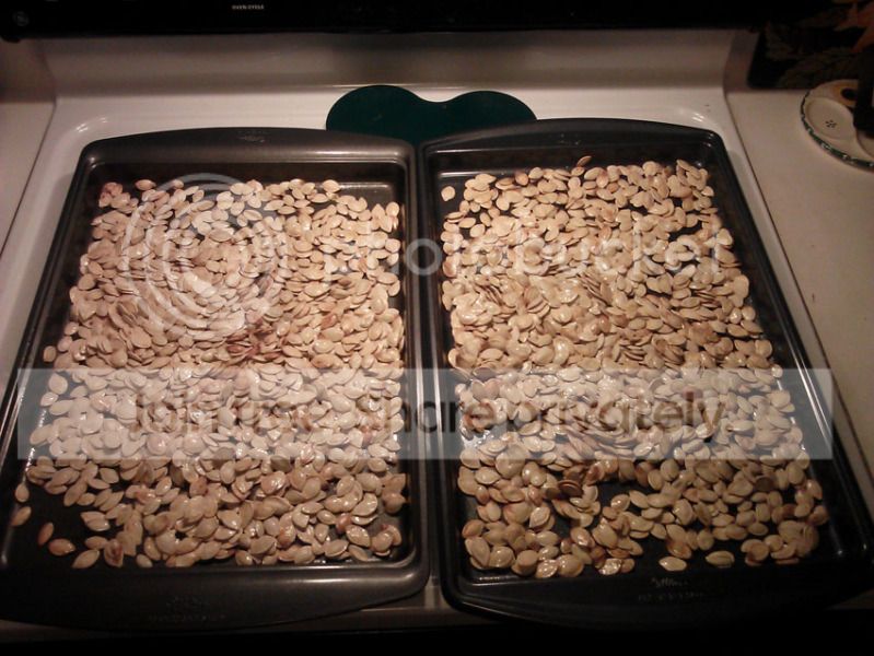 seeds.jpg