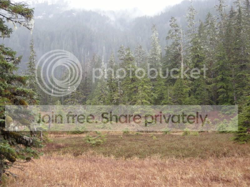DSCN5618.jpg