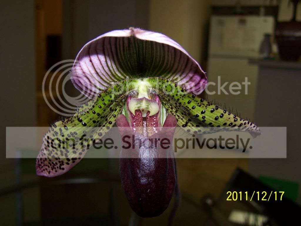 100_5627.jpg