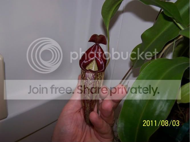 100_4979.jpg