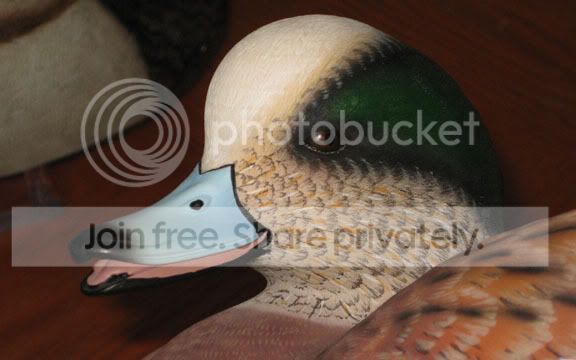 IMG_0720.jpg
