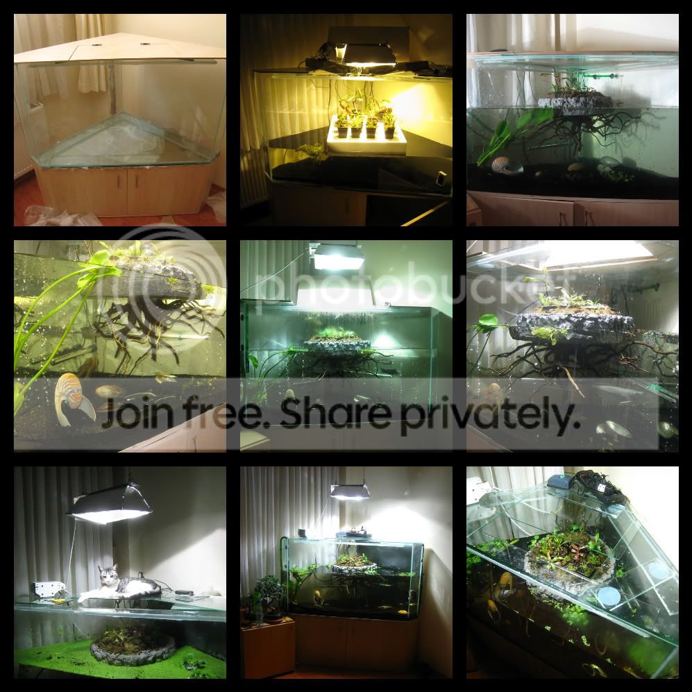 87GlassCover-1.jpg