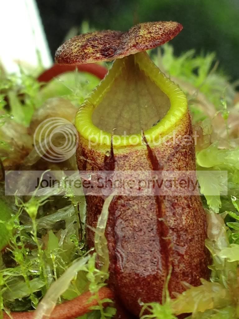 image_zpsbcc4e68f.jpg